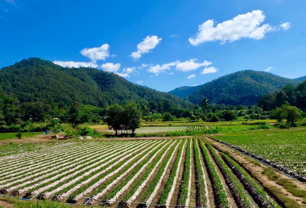 Wongwan Farm Villa Samoeng Buitenkant foto